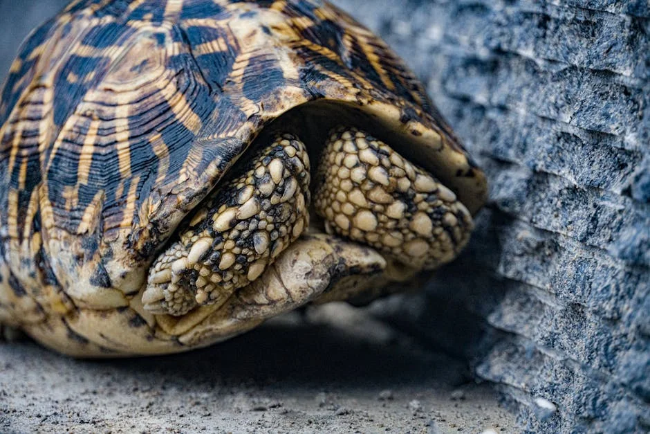 Visakhapatnam celebra 25 anos do Parque de Biodiversidade: impacto ambiental e econômico — Energia