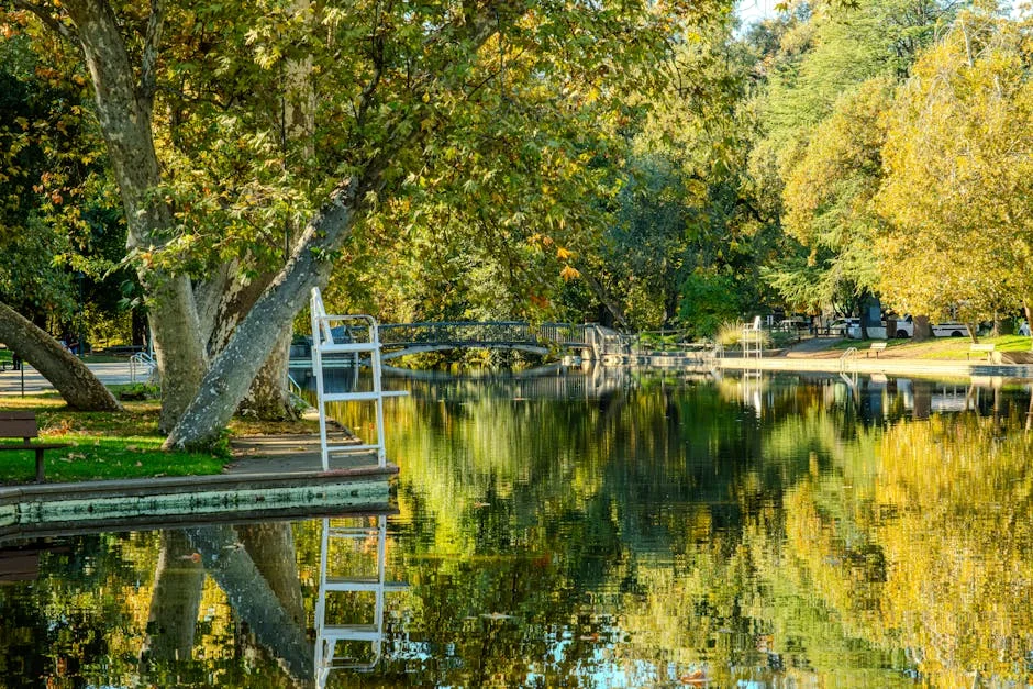 WTF e Chico da Tina: A Nova Parceria que Promete Revolucionar PT — Empresas