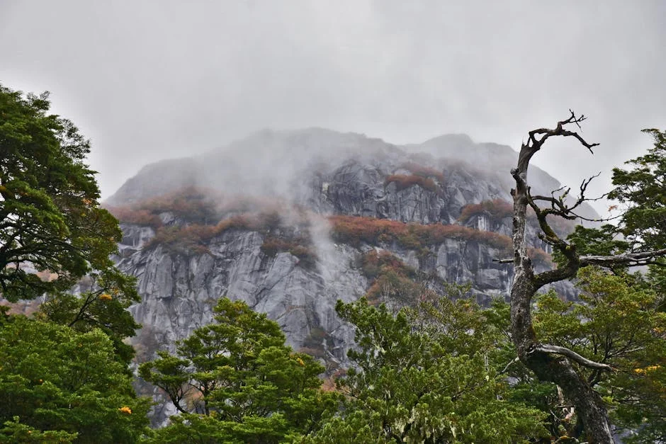 WWF destina 1,8 milhões de euros para restaurar a natureza no Parque Nacional: impactos na economia — Empresas