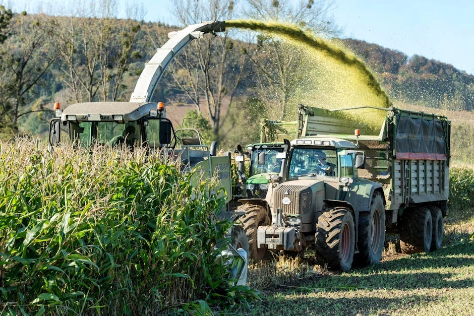 Yara alerta para escassez alimentar na África se guerra no Irã escalonar — Politica